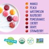 YumEarth Organic Fruit Flavored Lollipops 250 Count Allergy Friendly Snacks
