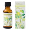 Life Tree Limy Vacation Blend Essential Oil 30ml Aroma Oil