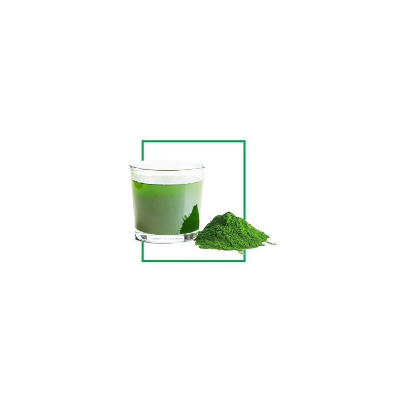 Santé Pure Barley New Zealand Blend- 60 Capsules
