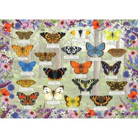 Beautiful Butterflies | 1000 Piece Jigsaw Puzzle | Butterfly Jigsaw Puzzle | Sustainable Jigsaw Puzzle for Adults | Premium 100% Recycled Board | Great Gift for Adults | Gibsons Games