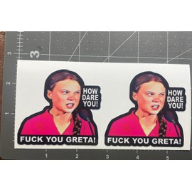 Egl Pair How Dare You F YOU Greta Thunberg funny  drift jdm car sticker window decal