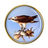 Osprey Pin Badge