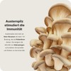 Vilgain Immunity Booster ⁠-⁠ 12 Natural Substances to Support Immunity