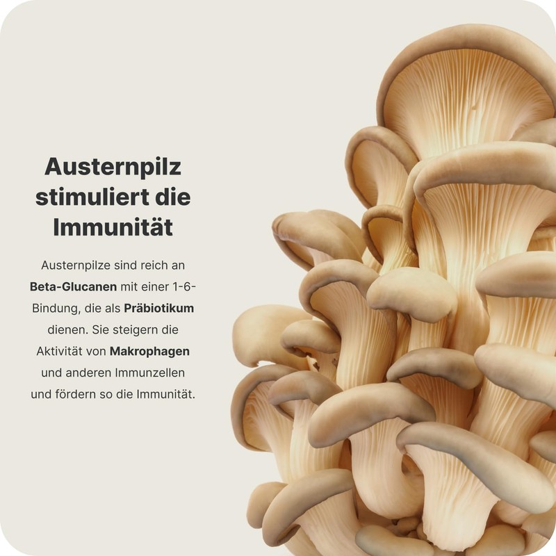 Vilgain Immunity Booster ⁠-⁠ 12 Natural Substances to Support Immunity
