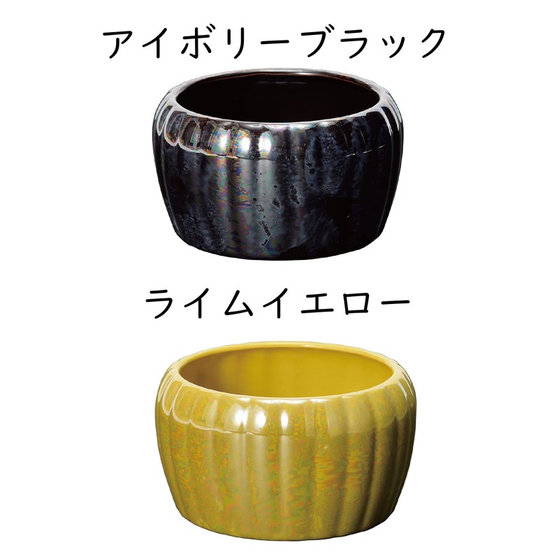 Sunmany Buddhist Altar Incense Holder Single Item, Genuine Mino Ware,