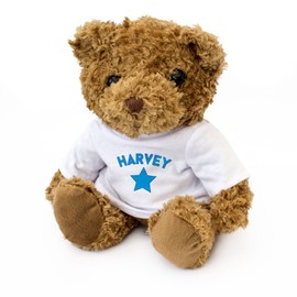 NEW - HARVEY - Cute And Cuddly Teddy Bear - Gift Present Xmas Birthday