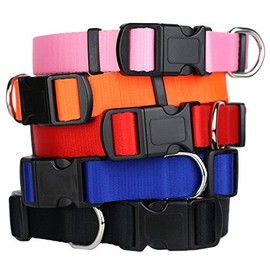 GoTags Dog Collars, Durable Solid Nylon Dog Collars in 5 Color Options and 4 Adjustable Sizes for Puppy and Dogs Extra Small, Small, Medium or Large