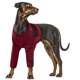 XXL Dog Bodysuit After Op, Elbow Bandage Medical Shirt Dog Wound Protection Suits for Large Dogs Dog Recovery Suit (Red, 2XL)