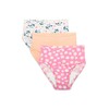 Fruit of the Loom girls Toddler 3-Pack Training Pants, 3