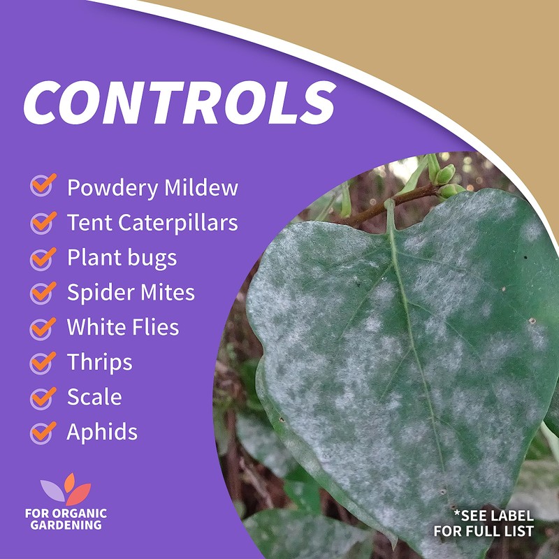 Bonide Insecticidal Soap, 32 oz Ready-to-Use Spray Multi-Purpose Insect Control