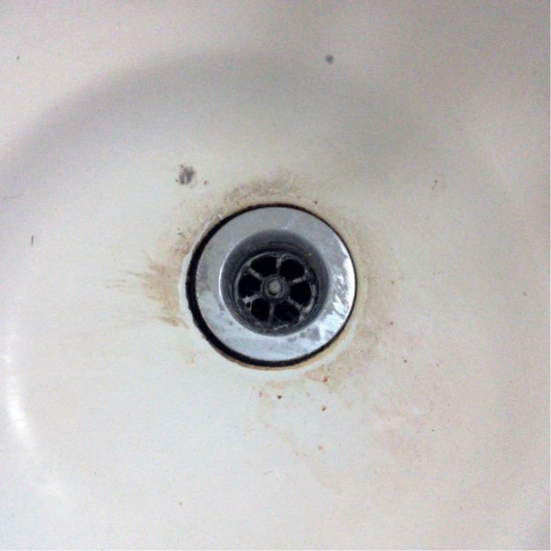 seiwa Pottery For Cleaning Equipment porissyuba-kurisutaru PLB – 20 