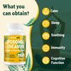 Vivaravida L-Theanine 800mg Supplement with GABA and Magnesium Glycinate -