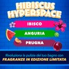 Duck Fresh Discs - Dischi Gel Igienizzanti WC, Fragranza Ibisco,