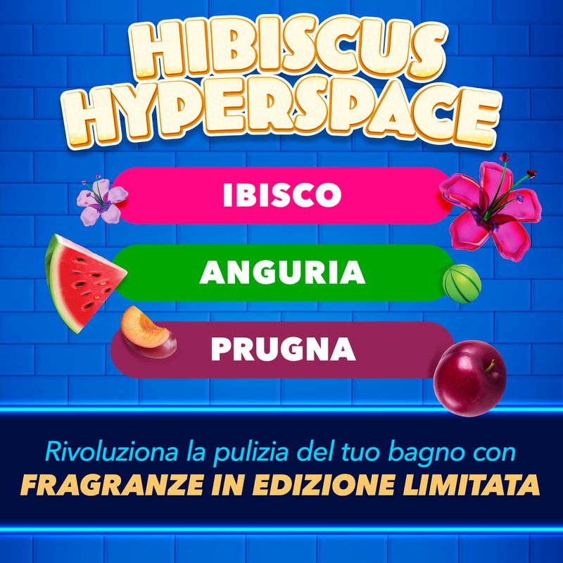Duck Fresh Discs - Dischi Gel Igienizzanti WC, Fragranza Ibisco,