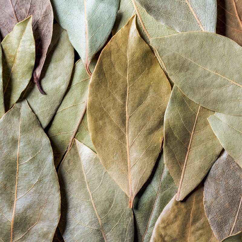 GranAroma Ground Bay Leaves, 7.2 oz, Savory Flavor, Soups &
