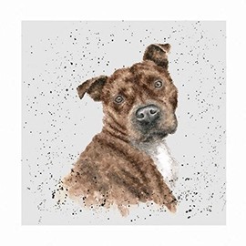 Wrendale Designs - 'Scrumpy' Card