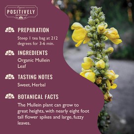 Organic Positively Botanicals Company, Mullein Herbal Tea Bags, 20 Count