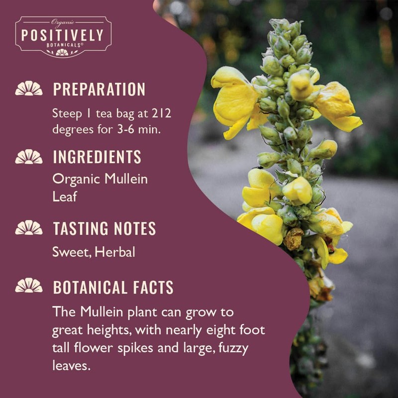 Organic Positively Botanicals Company, Mullein Herbal Tea Bags, 20 Count