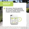 Terra Domi Rusche Stone Cleaner for Clean Pathways & Squares,
