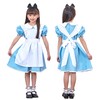 Party City AQUA Dress Kids Cosplay Costume, US Kids Size