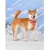 Perpia [퍼피아] 스테판 사이즈 조절 하네스 A 2종(택1) [Puppia] Stephan Size Adjustable Harness A 2 Types (Choose 1)