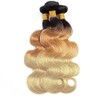 HeioWuio 1B/27/613 Hair Bundle 3 Bundles Body Wave Ombre Three