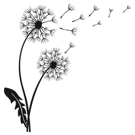 GRAZDesign Wall Tattoo Dandelion Flowers Wall Sticker for Children's Room Bedroom Living Room Dandelion Plants 41 x 40 cm Black