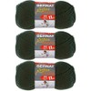 BERNAT SOFTEE CHUNKY- PACK OF 3 BALLS - 100G EACH