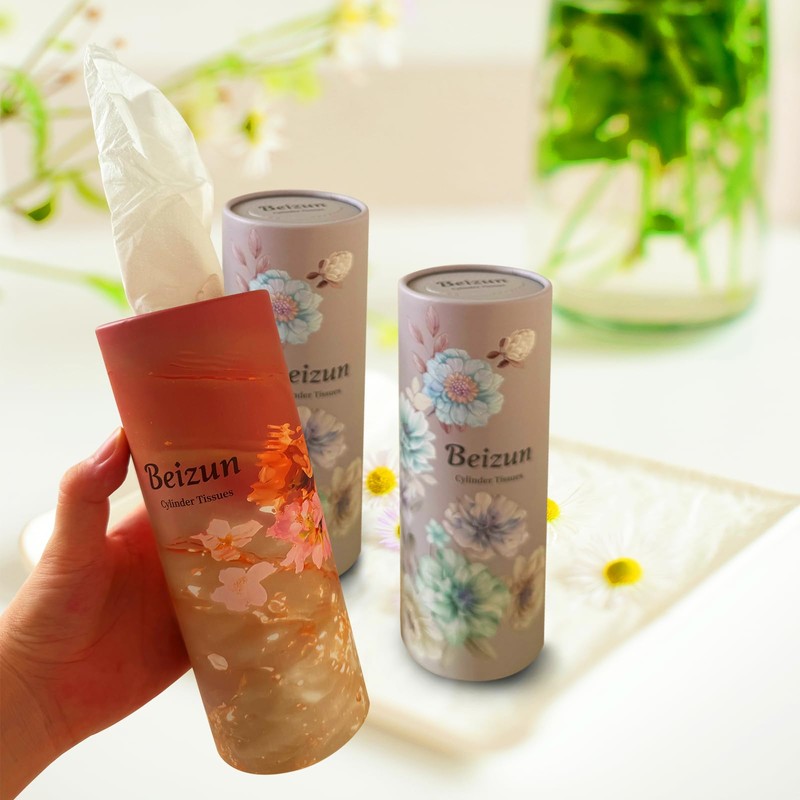 Beizun Car Tissue Holder with Facial Tissues - 4 PK