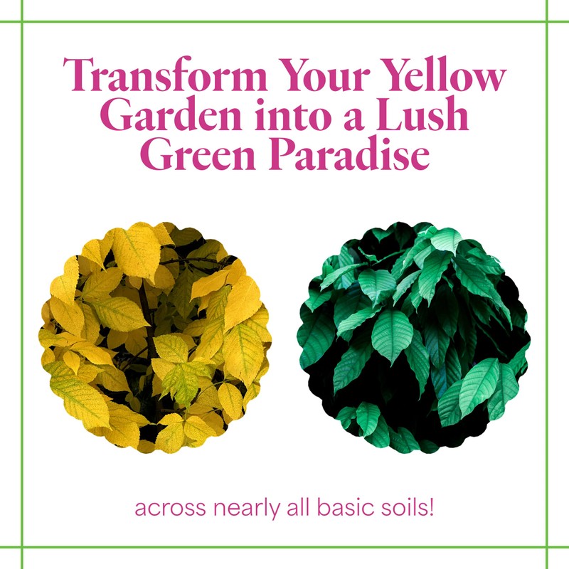 Grow More 0.2-0-0 EDDHA Iron Chelate for Greener Plants on