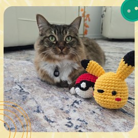 CROCHETBUDS Pika-Doo Crochet Kit | Beginner Level | Great for Couples, Date Night, Kids, Adults, & Anime Lovers | DIY Gift Kit | Ball Included | Instructions, Yarn, Hook, Video & Written Tutorial