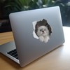 White Cat Decal - Wall Hole Sticker with 3D Effect