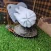 DoubleWood Turtle Brush with Suction Cup for Tank, Turtle Toys