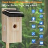 Camii Bird House with Camera, 5MP Smart Birdhouse Camera with