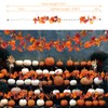 Brillarlights Thanksgiving Decorations for Home Lighted Garland with Lights, 11FT
