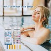Pack of 100 Pool Test Strips, Test Strips Pool pH