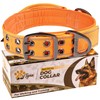 ADITYNA Heavy Duty Dog Collar for Extra-Large Dogs - Reflective