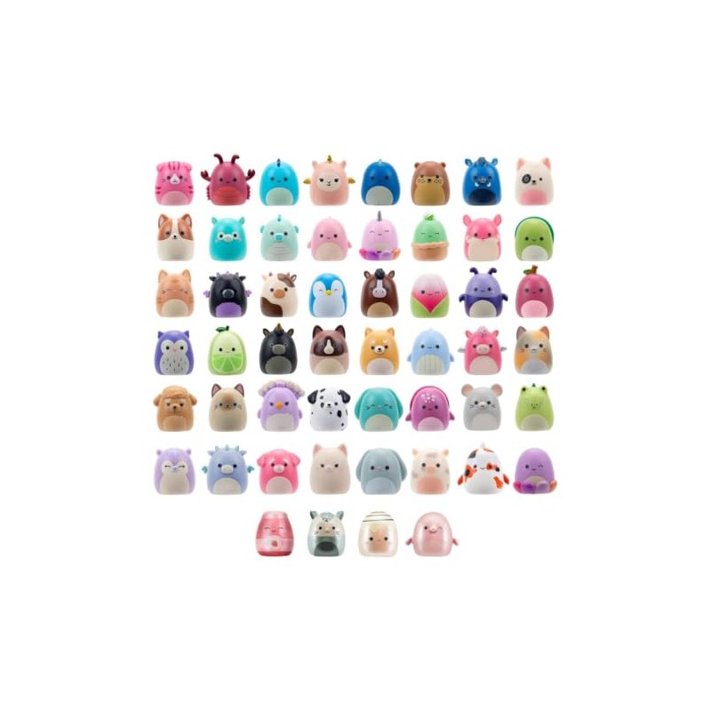 Squish-a-longs by Squishmallows - Mystery (1 Pack Chosen at Random)