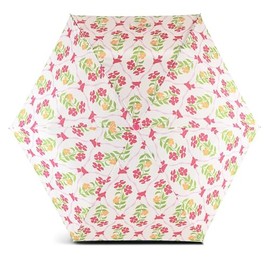 RADLEY London Womens Ladies Girls Mini Telescope Umbrella Carousel Floral in Chalk