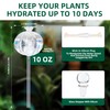Soilagua 10 oz Large Top Fill Cactus Plant Self Watering