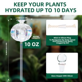 Soilagua 10 oz Large Top Fill Cactus Plant Self Watering Globes, Light Iridescent Glass Water Bulbs, Slow Release Watering Devices System Indoor | Outdoor Everyday Use, Water Spikes Stakes, 2 Pack