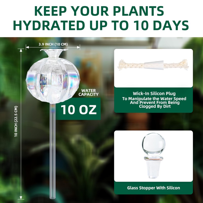 Soilagua 10 oz Large Top Fill Cactus Plant Self Watering