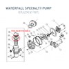 Pool Ruler 350013 Pentair Pump Lid O-Ring 2 Pack +