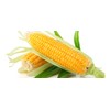 Seeds Sugar Sweet Corn Heirloom Vegetable for Planting Non GMO