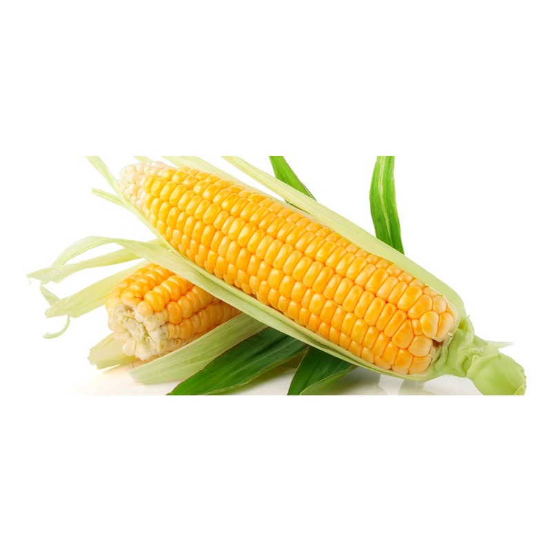 Seeds Sugar Sweet Corn Heirloom Vegetable for Planting Non GMO