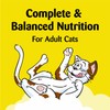 TEMPTATIONS Classic Crunchy and Soft Cat Treats Blissful Catnip Flavor,