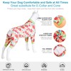 LovinPet Giant Dogs PJS Bodysuit - Anti Licking & Anxiety