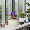 Dphagesy African Violet Pots Self Watering Round Ceramic Violet Pot
