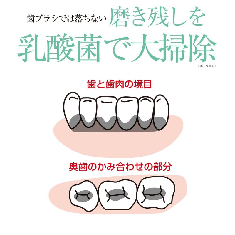 [Oral Care] [Human Lactobacillus Formulation] Reuteri Toothpaste (30g)