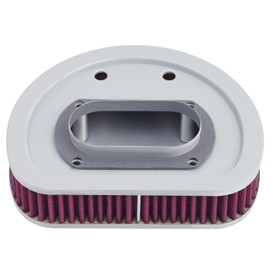 Road Passion 29462-99 1011-4208 Air Filter Replacement for Harley Electra Glide Classic EFI FLHTCI 1999-2001/Heritage Softail Classic FLSTCI EFI 2001/Electra Glide Ultra Classic EFI FLHTCUI 1999-2001/